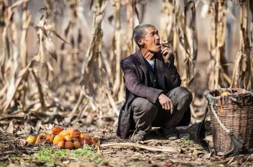 下半年,农民的生活将会变得更加艰难,大家准备勒紧裤头过日子吧