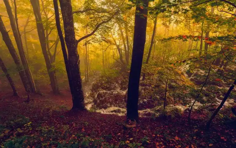 大自然唯美秋天风景桌面壁纸