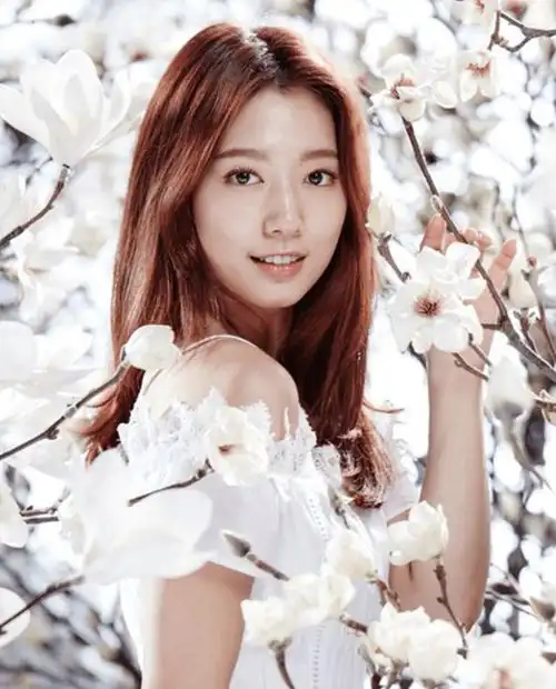 一线男星收割机韩国老戏骨朴信惠优雅动人