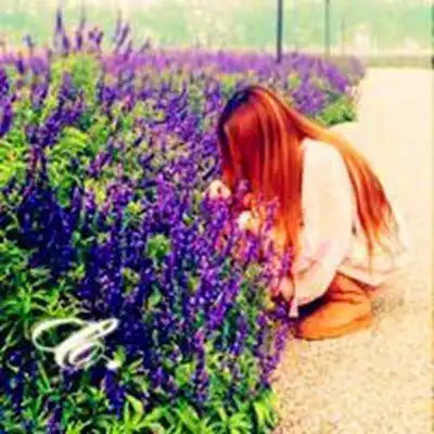 薰衣草唯美女生头像