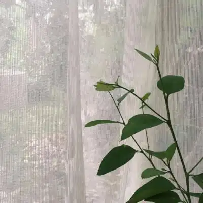 简约干净手机背景 - 堆糖,美图壁纸兴趣社区