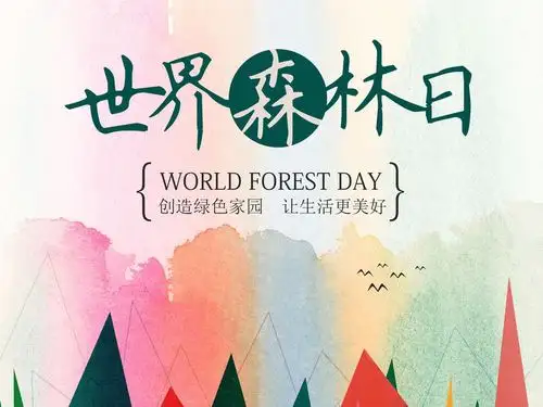 3·21世界森林日 | 让森林拥抱蓝天