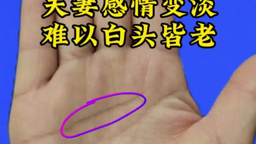 容易离婚的手相