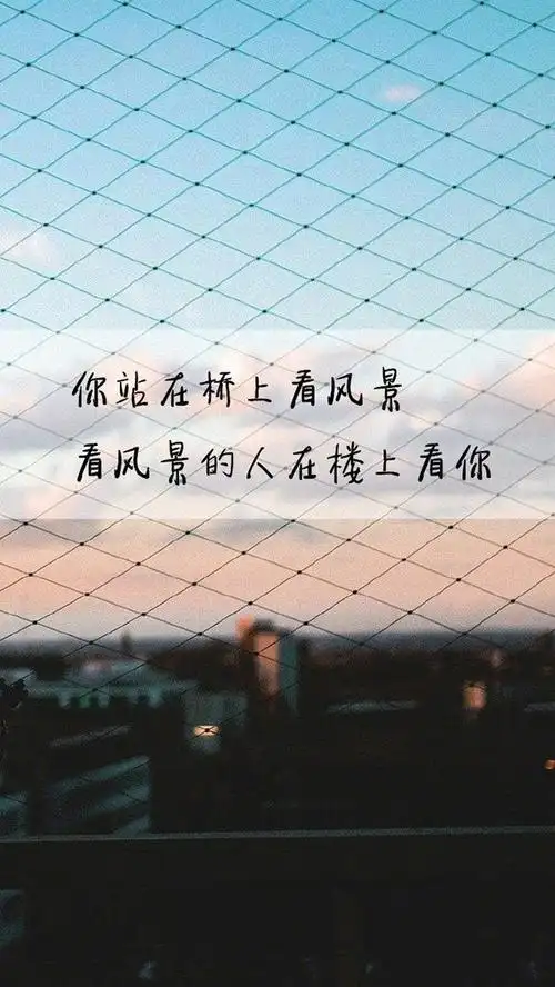 创意情感语录
