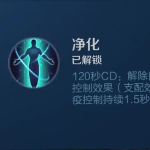 王者荣耀使用率最低的召唤技能,最后一图最好用却无人问!