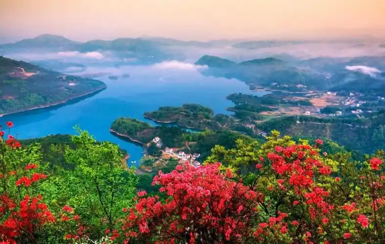 单龙寺镇始终秉持"绿水青山就是金山银山"的发展理念,依托自然资源