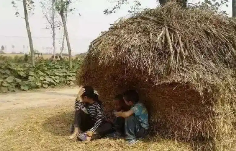 又是一年麦收季——带你回忆夏收的火热岁月