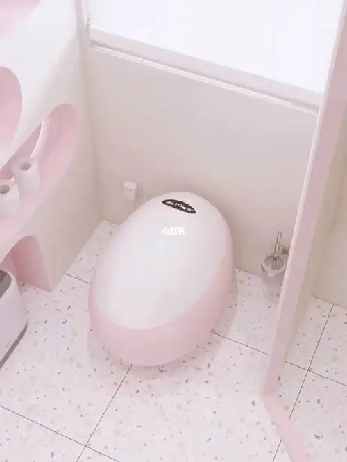 如此精致的智能马桶,我家快成小区代言了