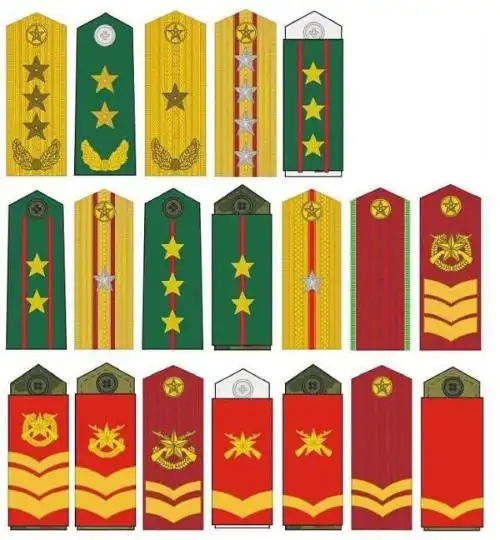 09武警军衔样式