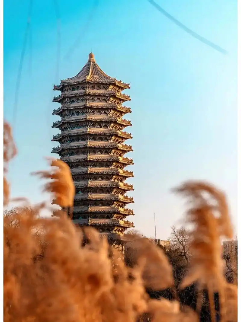 北大博雅塔未名湖 还是挺好看的