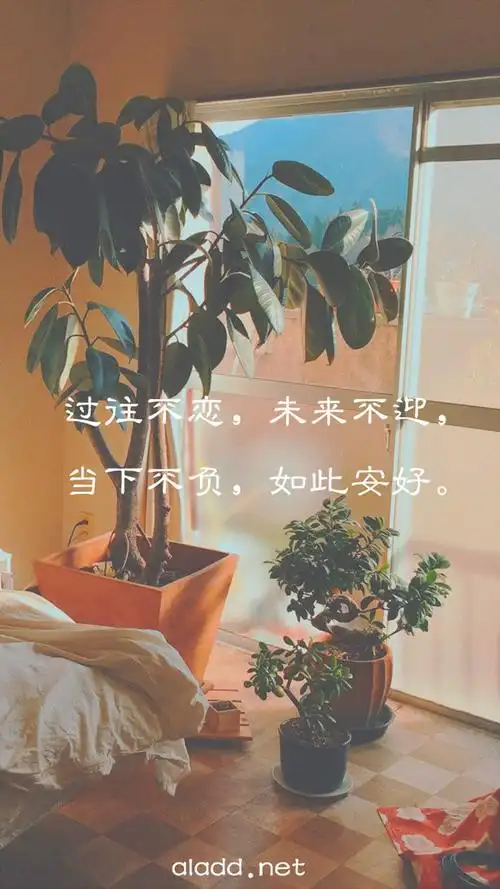 触及灵魂的优美文字唯美图片