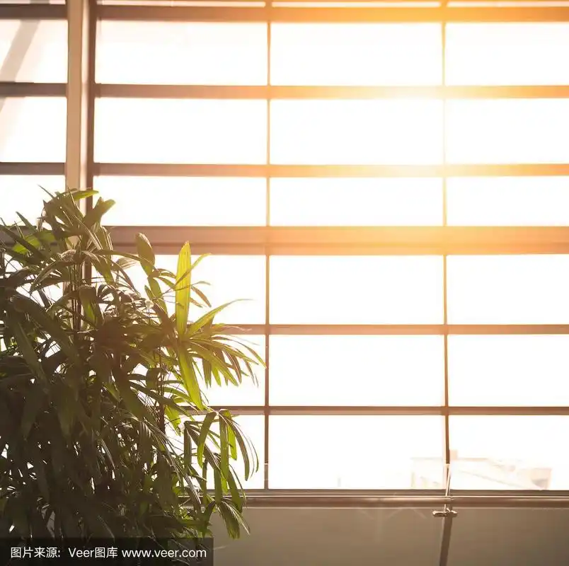 阳光透过一扇大玻璃窗照射进来