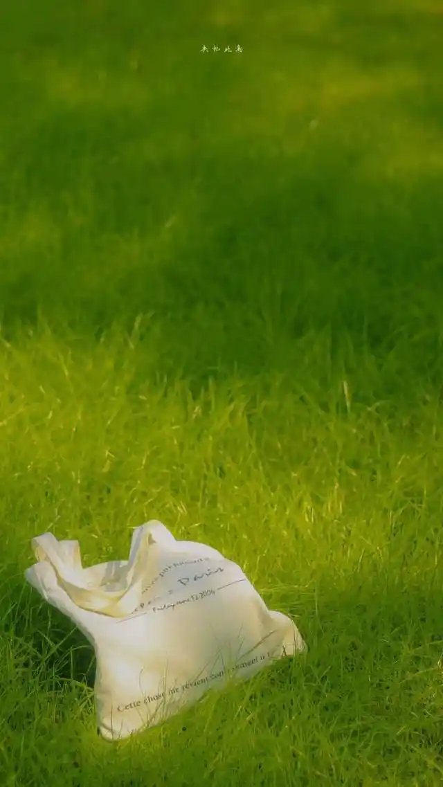 「夏日小清新」48张夏日手机壁纸,看一眼,整个人都凉快起来了