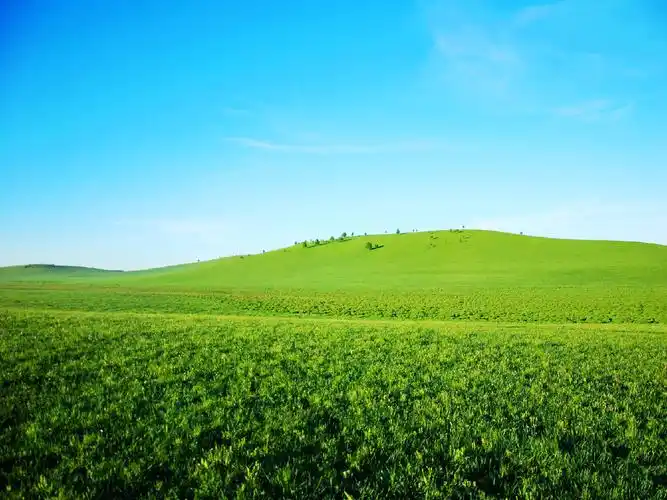 内蒙古乌兰布统草原风光高清图片壁纸