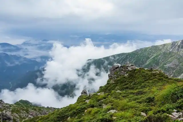 太白山南北两坡气侯迥然不同,随着海拔高度递增,气候类型按一定规律呈