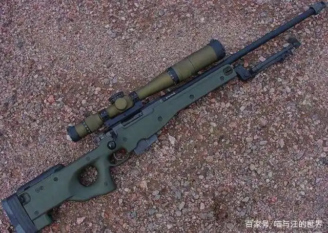 每个国家有自己的代表名枪!98k德国,巴雷特美国,那我国呢?