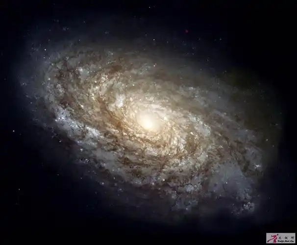 太极图宇宙运动缩影