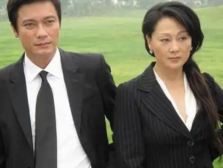 王姬丈夫高峰个人简历(王姬和老公的婚姻有多艰辛)(2)