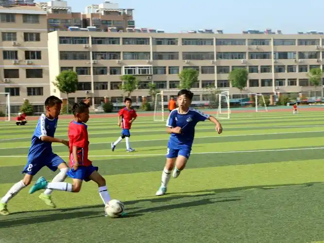 追光丨一场小学足球赛,何以吸引上千观众?