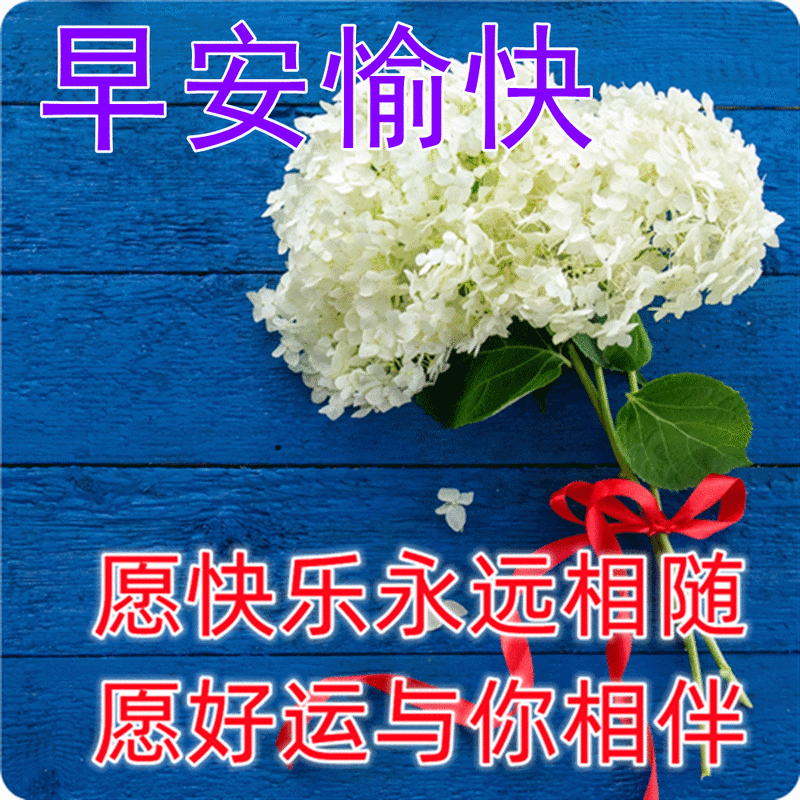 只有你拥有足够多的勇气去追求你梦想的时候,成功才会向你微笑
