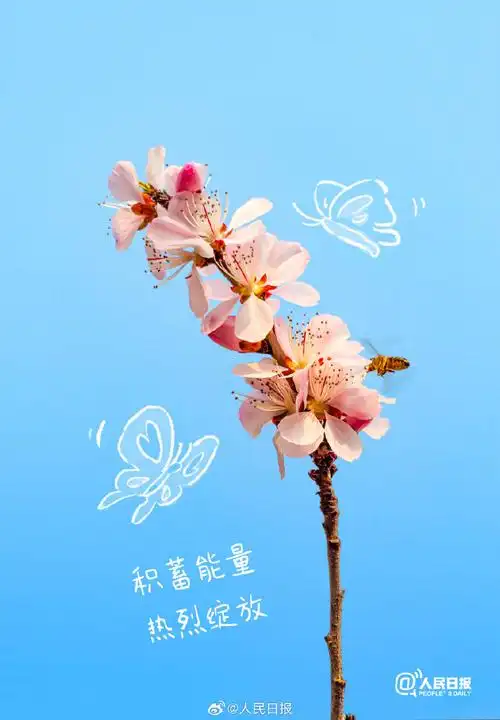 壁纸 花 桌面 690_993 竖版 竖屏 手机