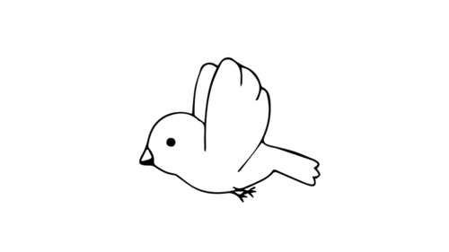 怎么画飞翔的小鸟
