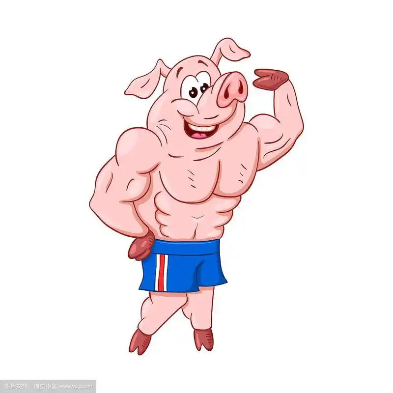 强壮的男猪健美运动员展示他的