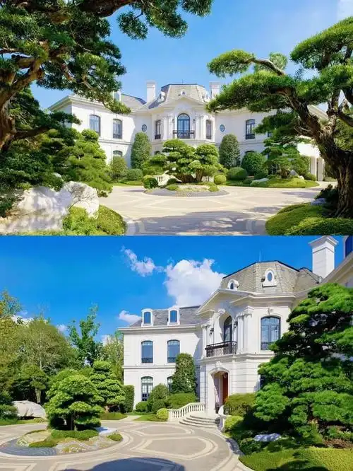 5亿花园:占地9亩 地下1层 地上2层买进:2亿  装修:1亿