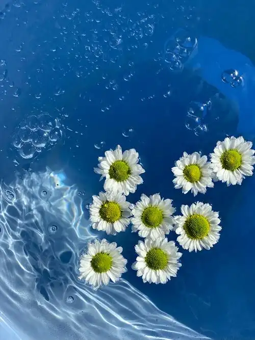 水中花蓝色系列