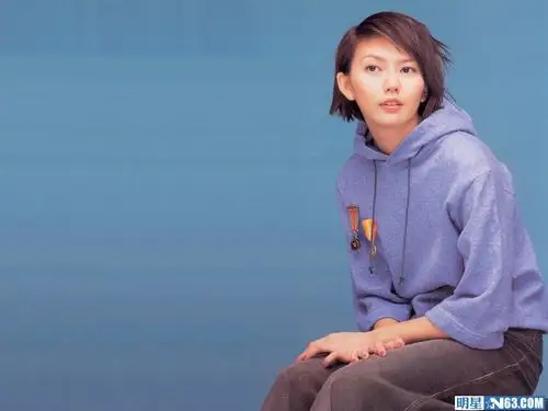 孙燕姿壁纸1024x768桌面写真图片-自制300x980壁纸.高清大图-明星写真