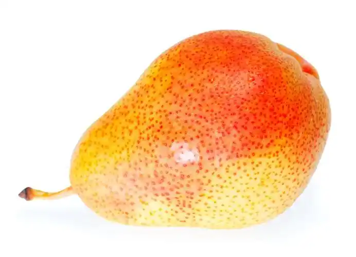 在白色背景上孤立的单个梨