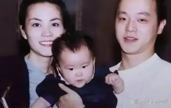 高原夺爱王菲与窦唯分手后单独一人抚养女儿如今怎样了