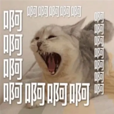 找一个猫咪大叫啊的表情包已找到