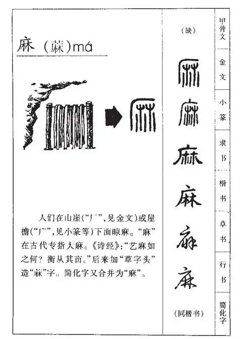 麻字的本意是什么麻字意为麻má草本植物,种类很多,有"大麻","苎麻"