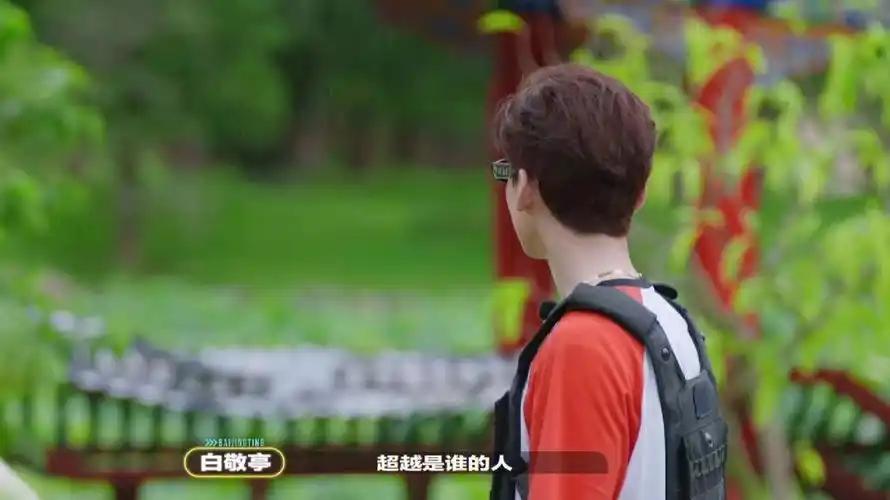 可是后面为什么96都是白敬亭杨超越的啊心疼我蛋总#登陆圆鱼洲