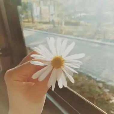 微信头像唯美意境创意 有创意的唯美意境美图