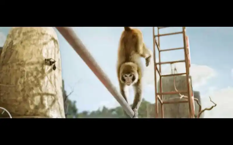 疯狂外星人明星猴王 "欢欢"来了