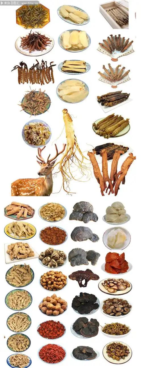 中药材图片大全,主题为中药,可用作中药图片,中药图片,人参,中药等