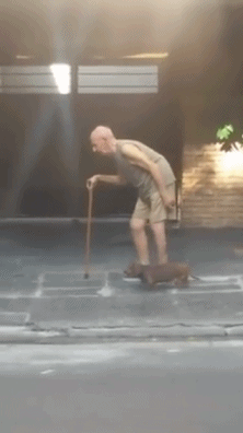 老爷爷看起来年纪很大了,拄着拐杖,步履缓慢.