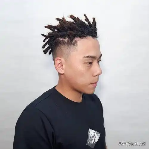 男生辫子发型14款男生脏辫发型