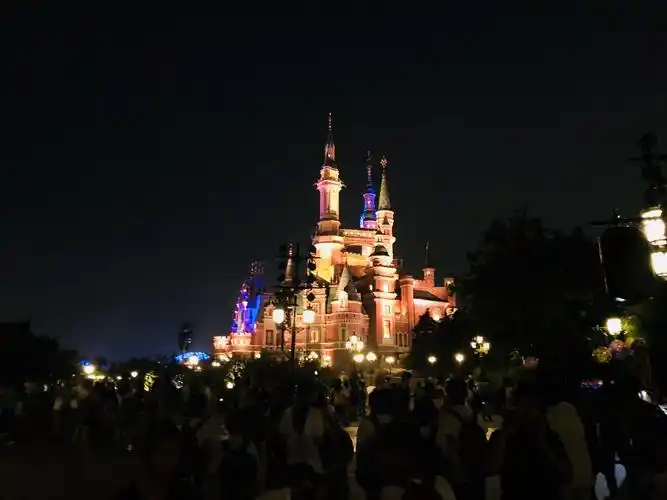 上海迪士尼做特工