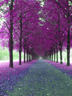 240_320竖版 竖屏gif 动态图 动图