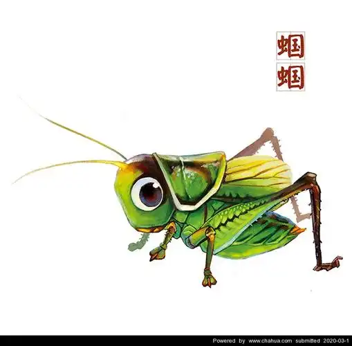 蝈蝈- 爱吃鱼的羊插画作品 - 中国插画画廊