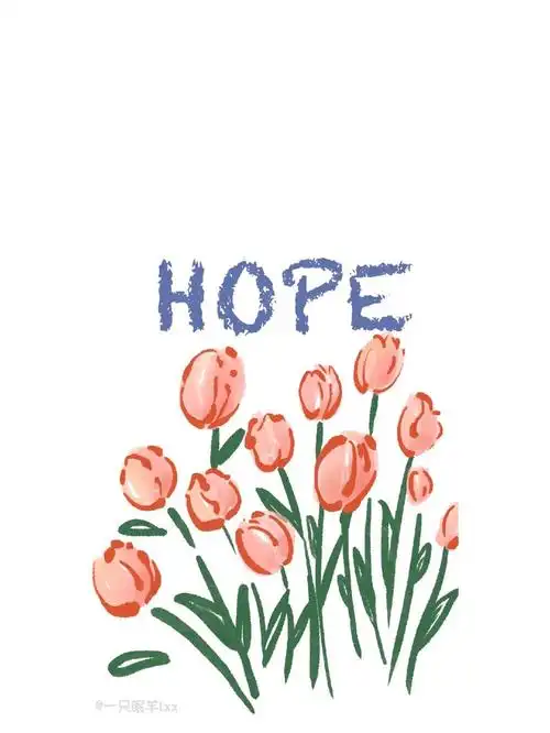 ins简约小清新壁纸