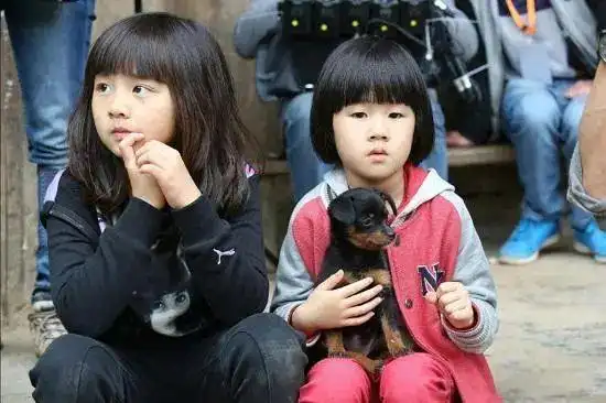 6岁被骂"心机",12岁晒女团腿叫板黄多多:黄磊,学学人家养女儿吧!