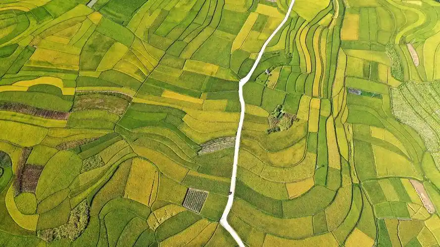 8月26日拍摄的贵州省安龙县招堤街道海庄村的稻田景色(无人机照片).