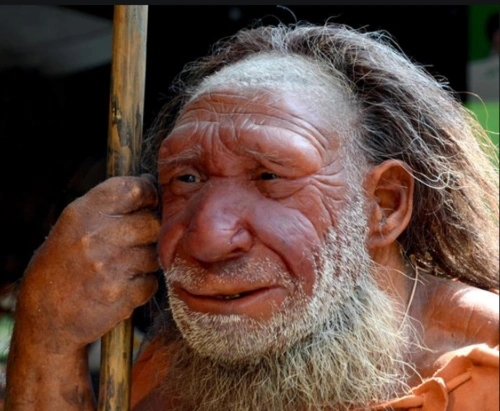 史前文明中国人人种之谜中国人属于什么人种呢