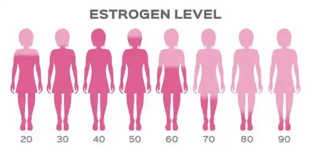 从某种意义上来说,女性的一生都在为了自己的容颜或身材而努力着.