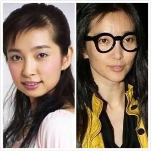 袁立开"撕"李冰冰, 李冰冰低价持华谊股票, 并暗指其整容!