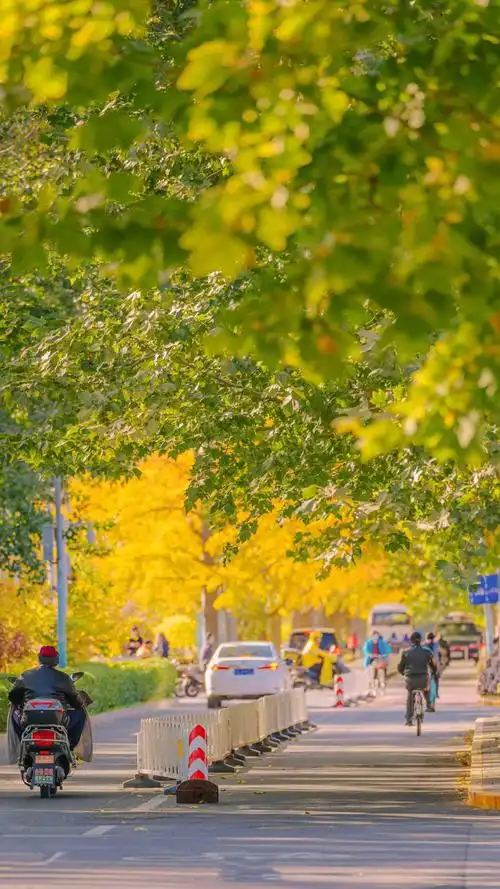 秋日街头暖色治愈系迷人风光